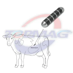Cow magnets