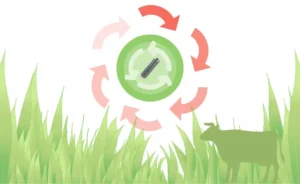 Improve agricultural efficiency and sustainable development
