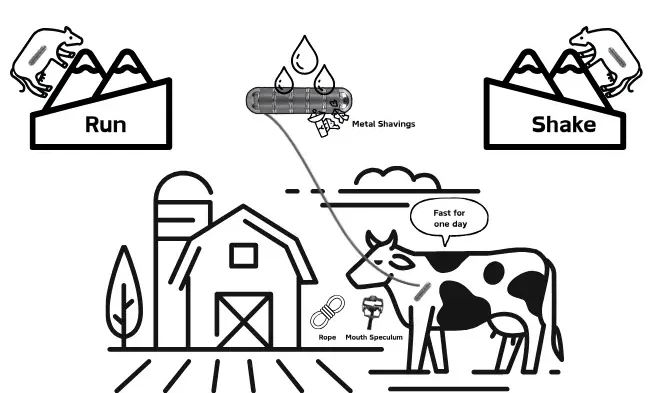 The process of removing magnets from cows