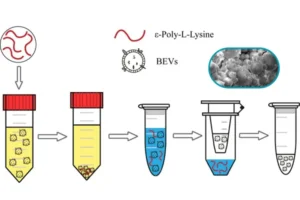 Bioleaching